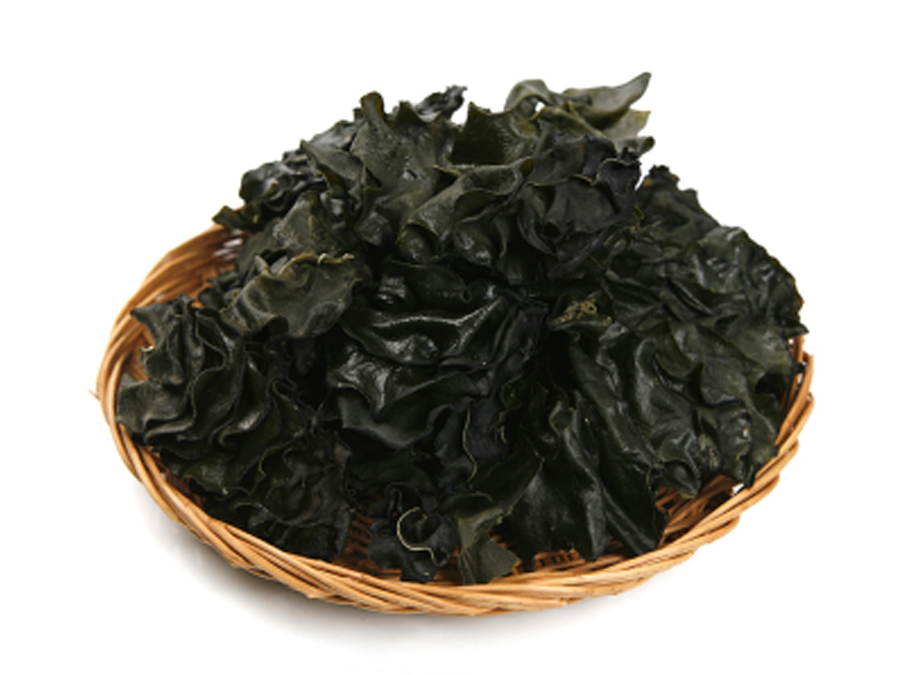 Seaweed (Sea Mustard Ear)