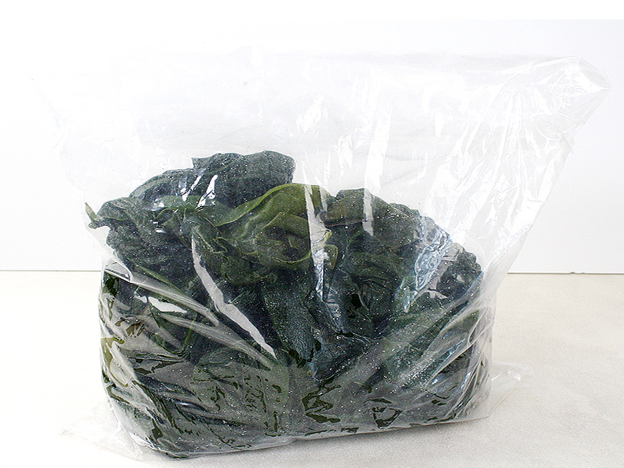 Salted seaweedtangle